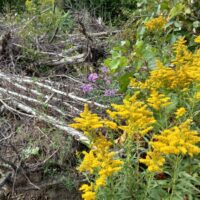 20230910_143637-1024x768